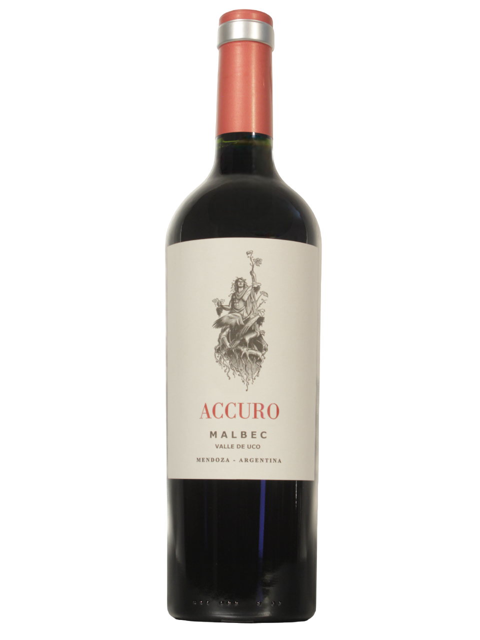 Botella de ACCURO Malbec de ACCURO WINES S.A. vista frontal